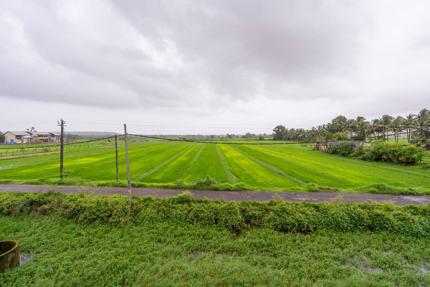 Staycationer Verdant - 4 Bedroom Green View Villa in Saligao, Goa